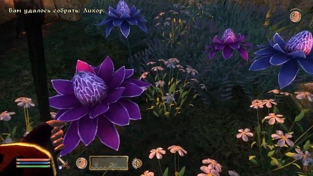 The Elder Scrolls IV Oblivion 249 серия