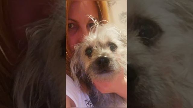 Из куколки в бабочку😂 Собака-барабака 🐶❤