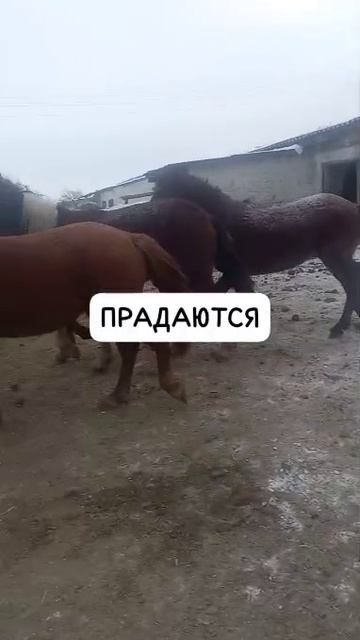 e6160118-1cd0-4f8b-a21e-6513b37fc415