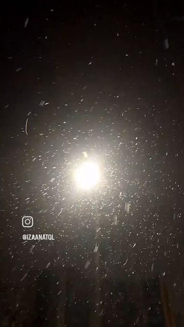 VID_20250220_105618_680