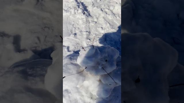 продолжение про снеговиков
