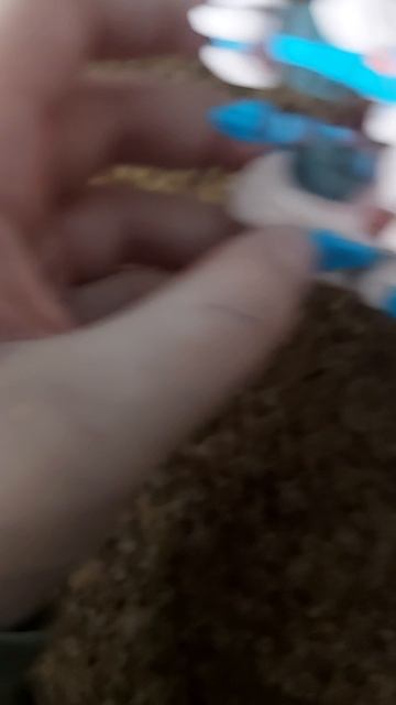 1000070351.mp4
