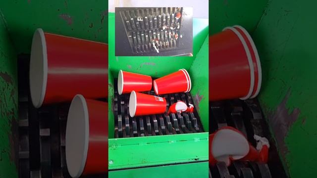 #подмикроскопом #микроскоп #микромир #наука #интересно
