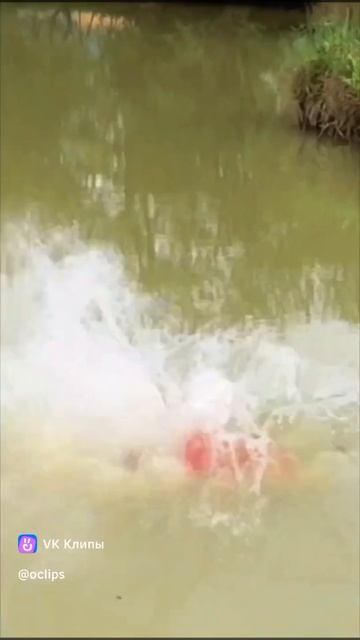 1000064252.mp4