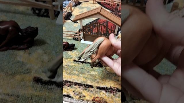 обзор на всех моих лошадей