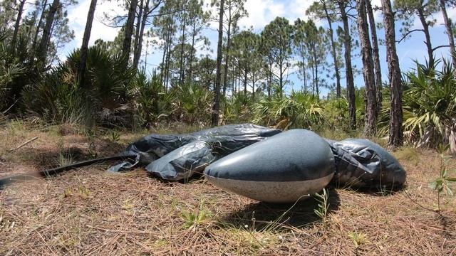 Intex Shark Inflation
