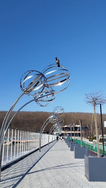 Ворон и Солнце