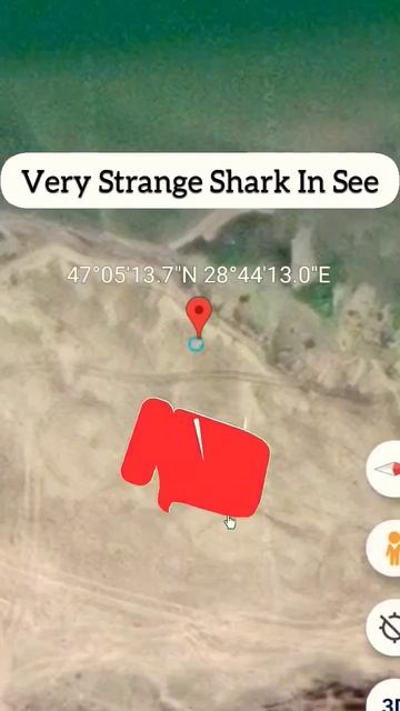 Shark fish is standing by the sea on Google Map #shorts #googleearth