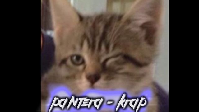 PANTERA - KRAP🔥{SPEED UP}