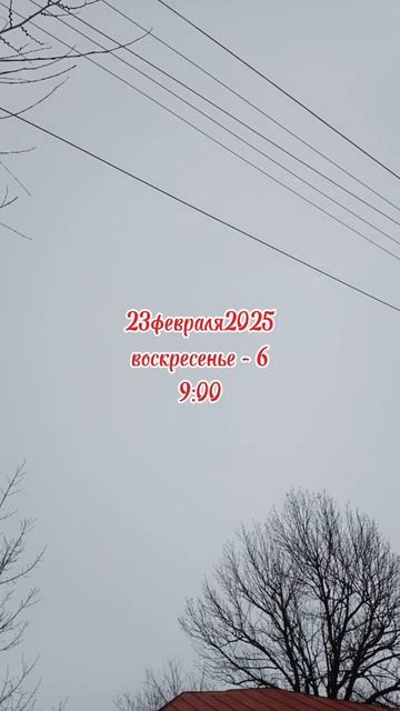 23февраля2025