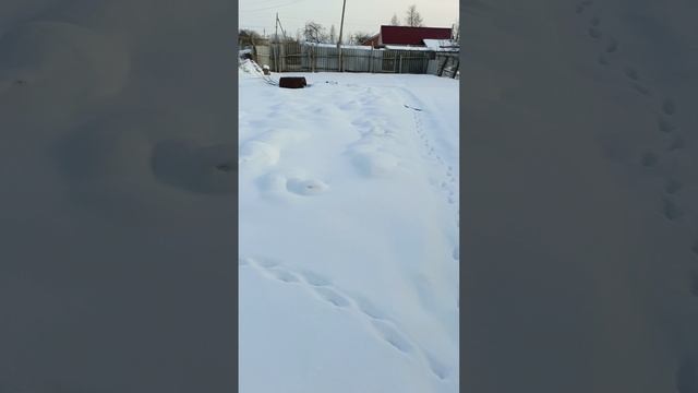 С праздником Мужчины!!!