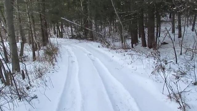 Winter Walk to Arnold Pond