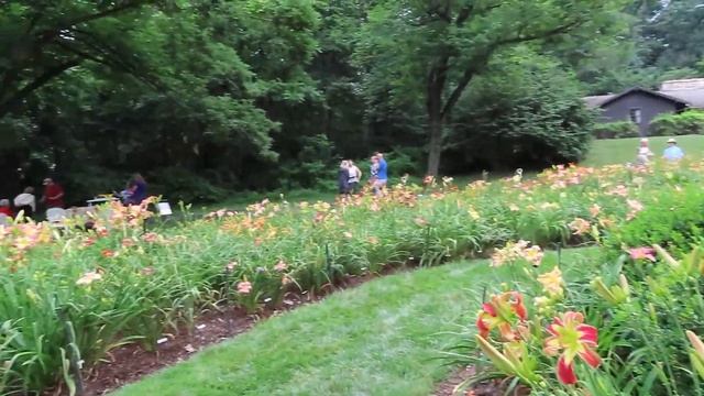 Don and Trish Herr's garden 7.11.21