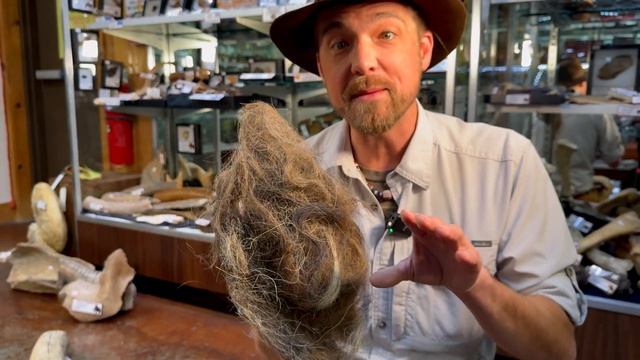 How Big & Where Were Wooly Mammoths?