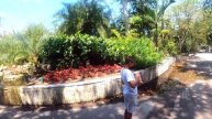 Welcome to Flamingo Gardens Fort Lauderdale, FL