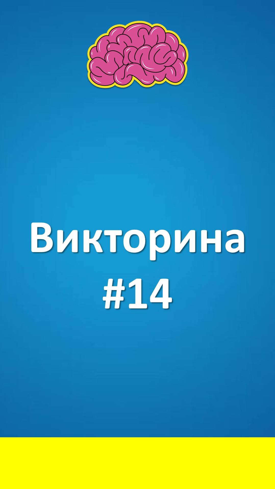 Викторина #14