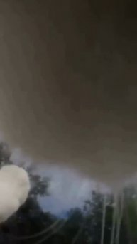 Коты на улице Видео от первого лица ❄️⛄️🐈