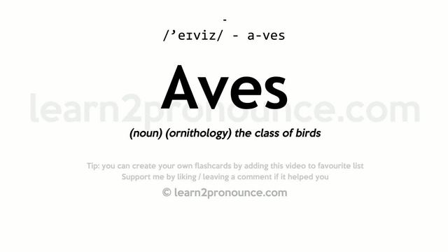 Pronunciation of Aves | Definition of Aves