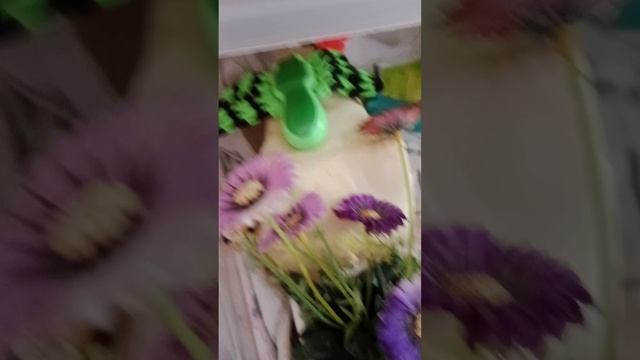 Показываю своих игрушечных или самодельных питомцев