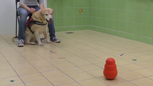 EP1 Az etológiai vizsgálatok megtervezése - Módszertan 1