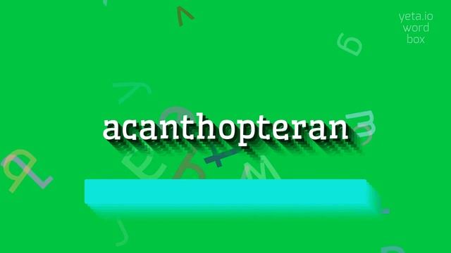 HOW TO SAY ACANTHOPTERAN? #acanthopteran