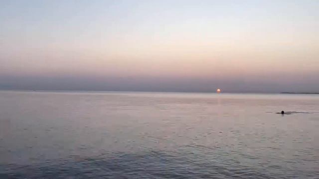 Посадили солнце