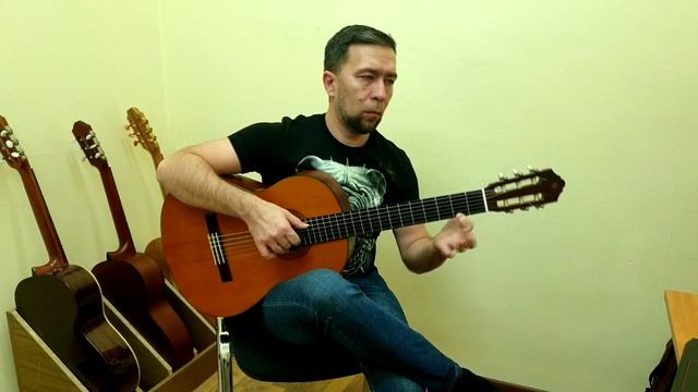 Акулёнок