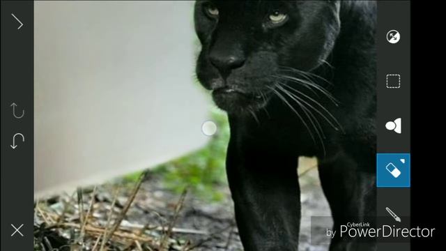 How to make black panther 3d image in PicsArt