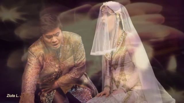 Poławiacze pereł HD