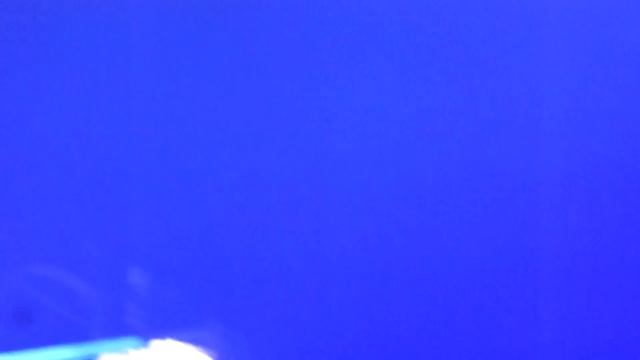 Steps - Neon Blue (Live) Party On The Dancefloor Manchester Arena 02/12/17