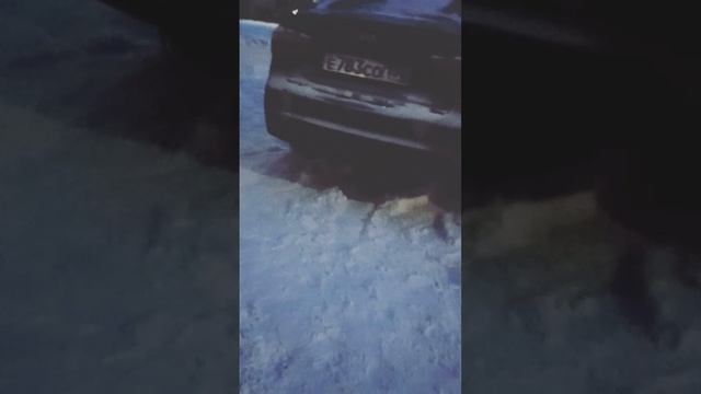 VID20250223190620.mp4