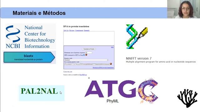 Evolução molecular de WNT em esponjas
