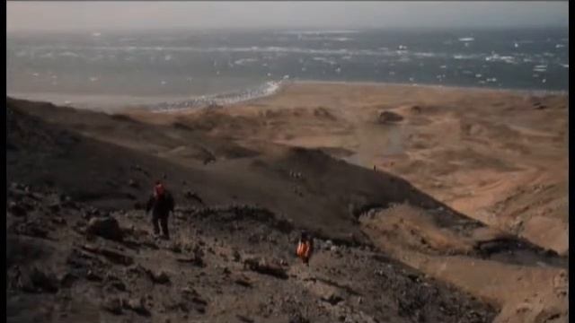 Paleontología: Craneos