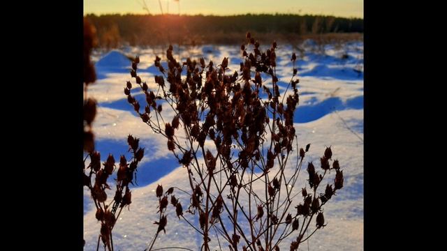 23-02-2025 23 февраля-День защитника отечества. восход.