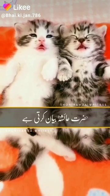 Hazrat Muhammad (saw) ka Farman #Bili