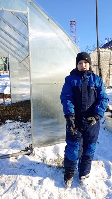 Борьба с белокрылкой зимой.