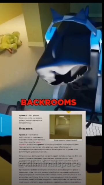 BACKROOMS