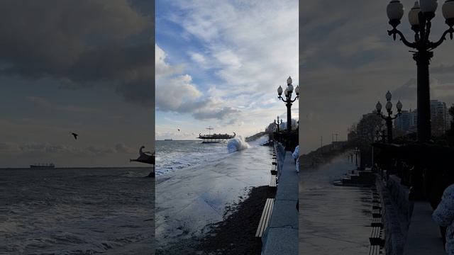 22 февраля 2025 г. Трое оболтусов решили поиграть с морем в догонялки. Кто победил? #ялта #ялта2025