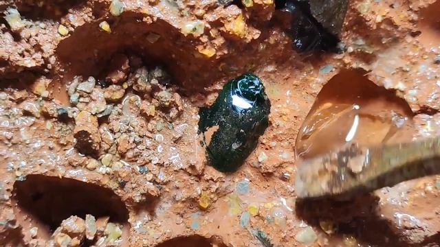 Необычные камни редкой формы в виде закаменелых наростов