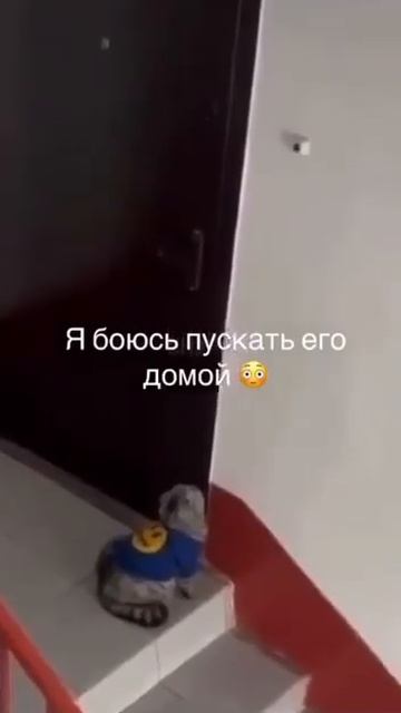 ПЕРЕГОВОРЫ