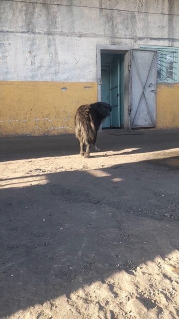 1000038476.mp423.02.2025г.