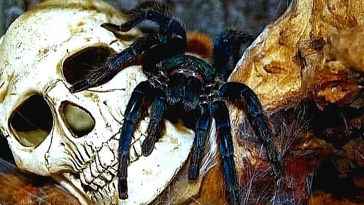 МАГИЧЕСКОЕ 💀 ВОЗДЕЙСТВИЕ