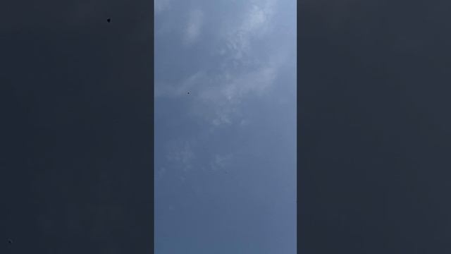 29 апреля 2024 г.