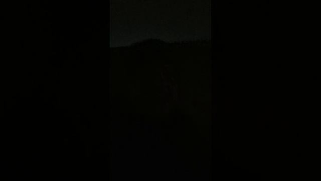Всех с Праздником🇷🇺✌️