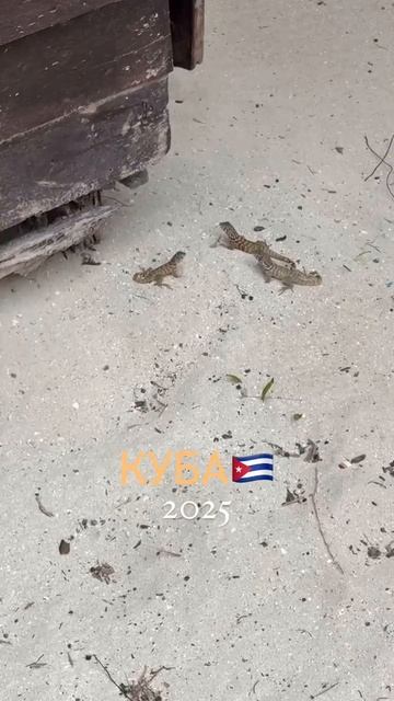 Мы прилетели на КУБУ🇨🇺 Кто был поделитесь любимыми местами📍