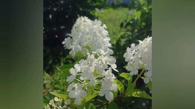 🎉День защитника отечества!🎉 Видео-поздравление!👍
