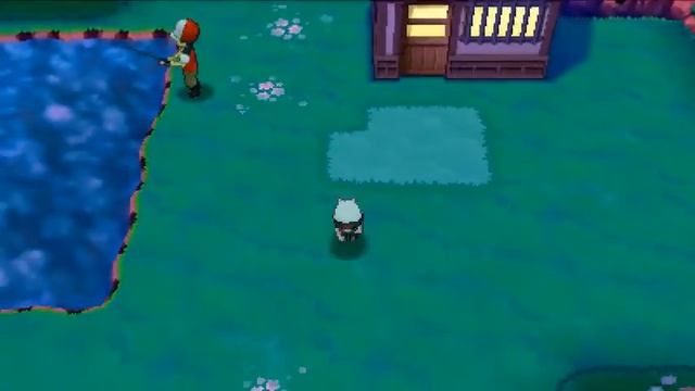 Route 123 Secret Base Locations: Pokemon Alpha Sapphire and Omega Ruby [ORAS]