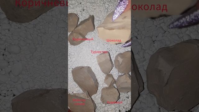 туркестан