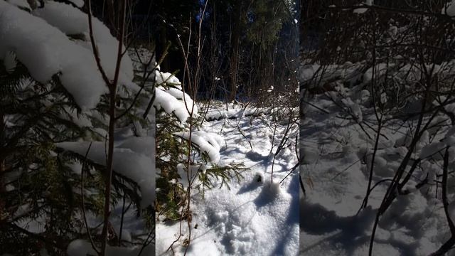 2025-02-21 ПО СЕКРЕТУ ВСЕМУ СВЕТУ