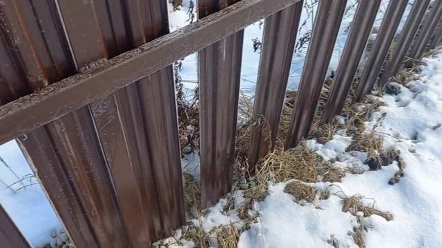 Забор выпрыгивает Дом в деревне Ремот Стена готова